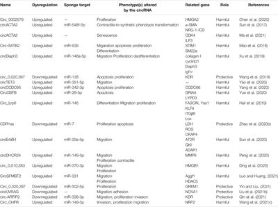 Emerging Roles of Circular RNAs in Vascular Smooth Muscle Cell Dysfunction